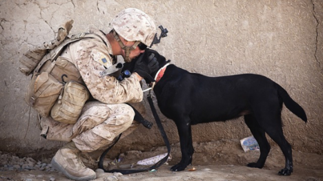 OIF or OEF Veteran